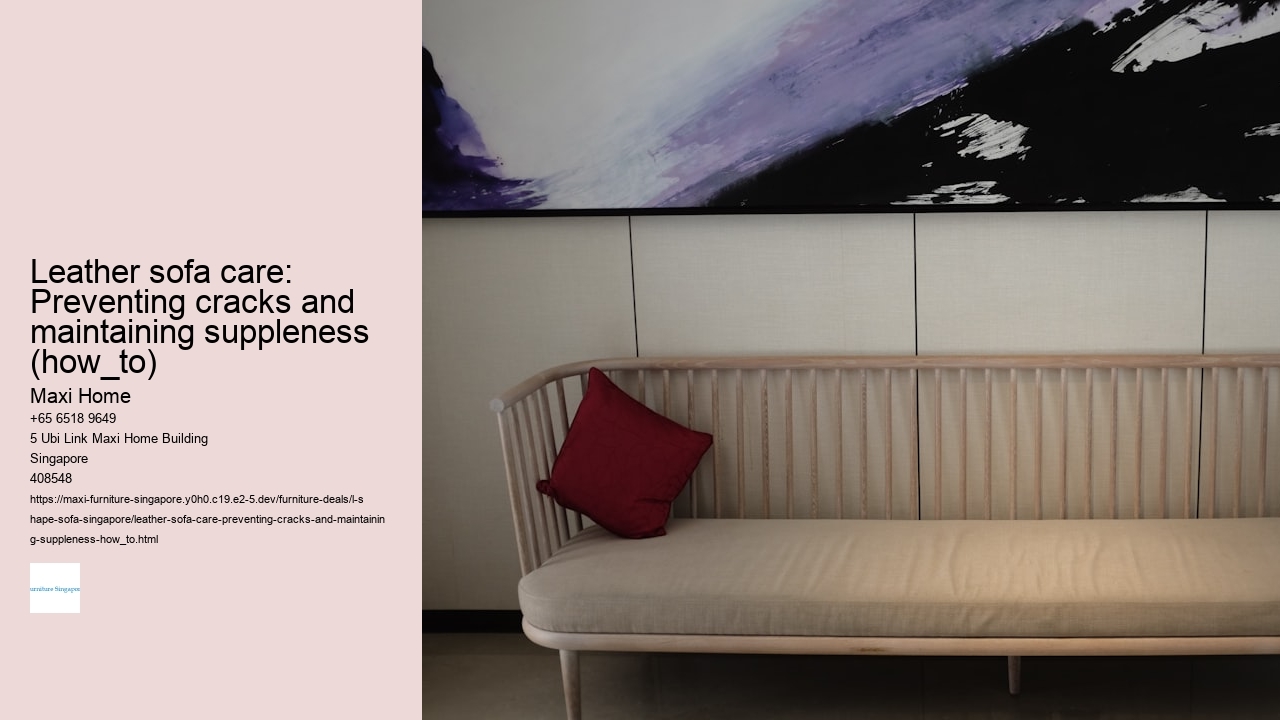 Leather sofa care: Preventing cracks and maintaining suppleness (how_to)