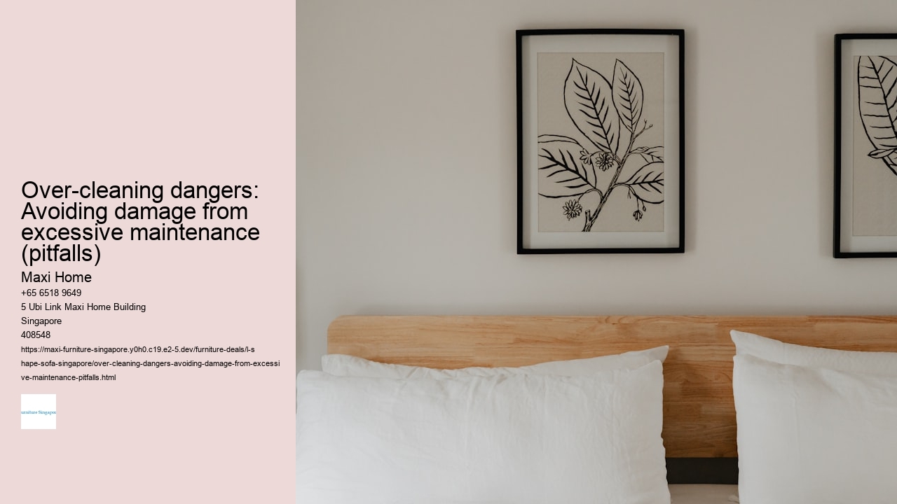 Over-cleaning dangers: Avoiding damage from excessive maintenance (pitfalls)