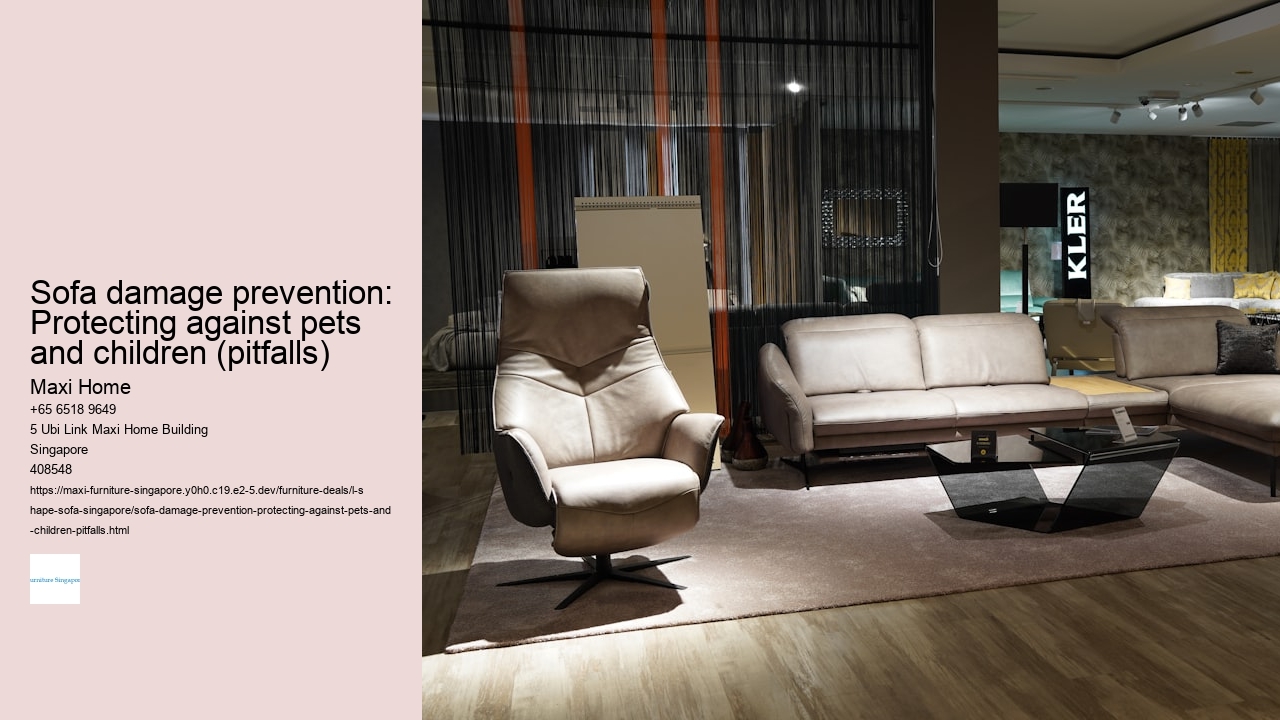 Sofa damage prevention: Protecting against pets and children (pitfalls)